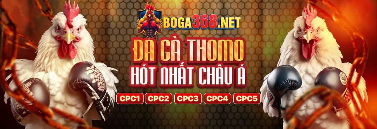Tin tức mới nhất từ hb888 game